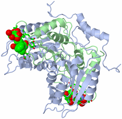 Image Biol. Unit 1 - sites