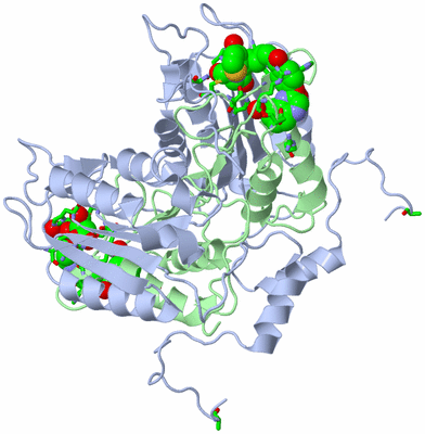 Image Biol. Unit 1 - sites