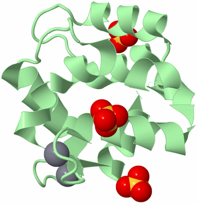 Image Biological Unit 2