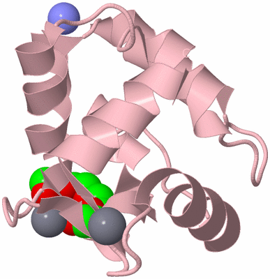 Image Biological Unit 3