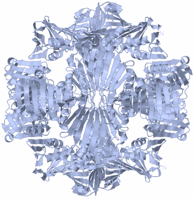 Image Biological Unit 2