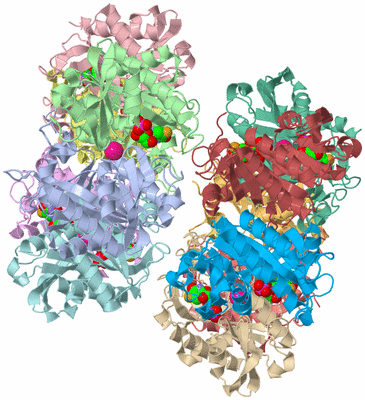 Image Asymmetric Unit