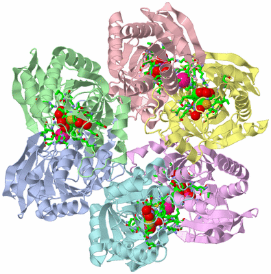 Image Biol. Unit 1 - sites