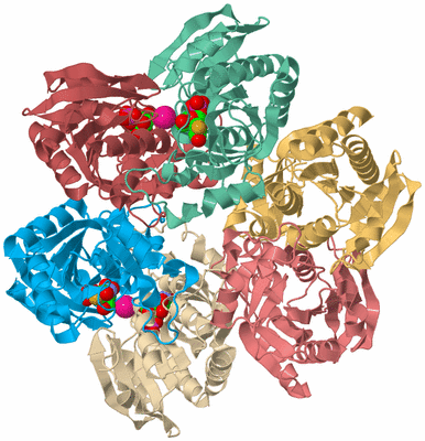 Image Biological Unit 2