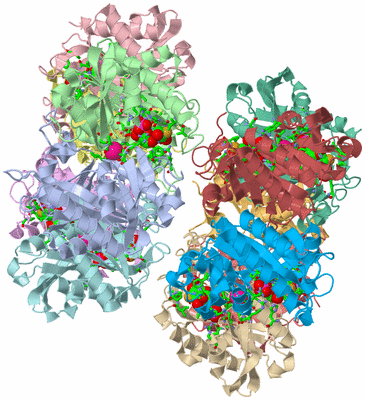 Image Asym. Unit - sites