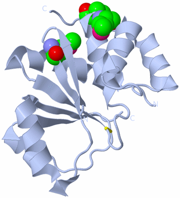 Image Biological Unit 1