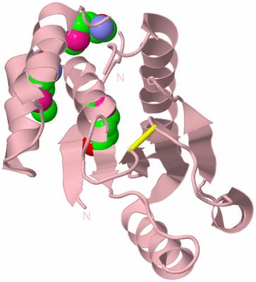 Image Biological Unit 3