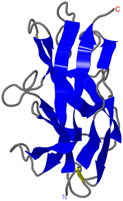 Image NMR Structure - model 1