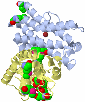 Image Biological Unit 2