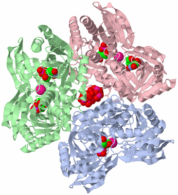 Image Biological Unit 1