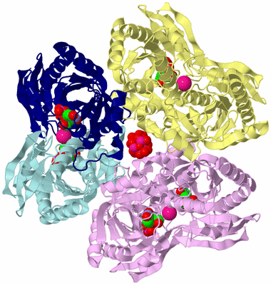 Image Biological Unit 2