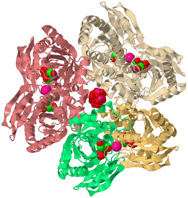 Image Biological Unit 3