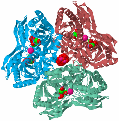 Image Biological Unit 4