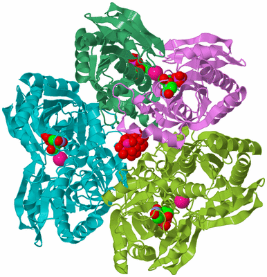 Image Biological Unit 5