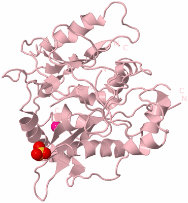 Image Biological Unit 3