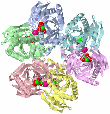 Image Biological Unit 1