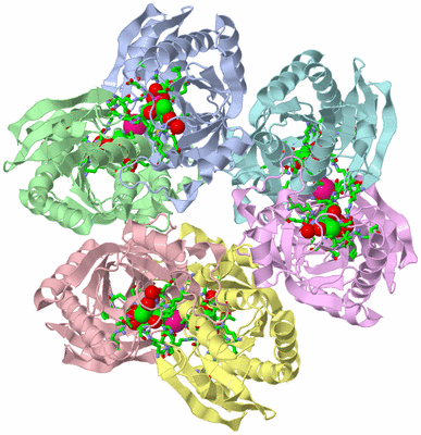 Image Biol. Unit 1 - sites
