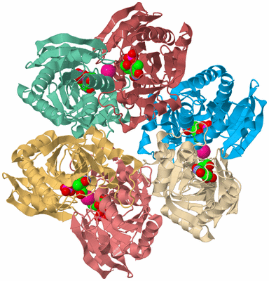 Image Biological Unit 2