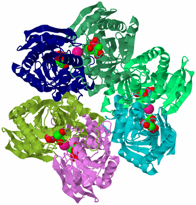 Image Biological Unit 3