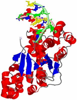 Image Asym./Biol. Unit