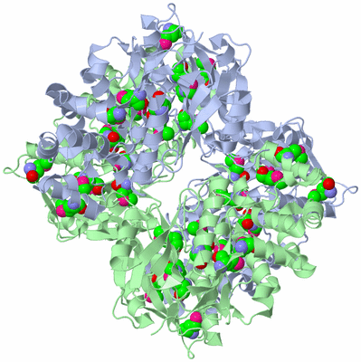 Image Biological Unit 1