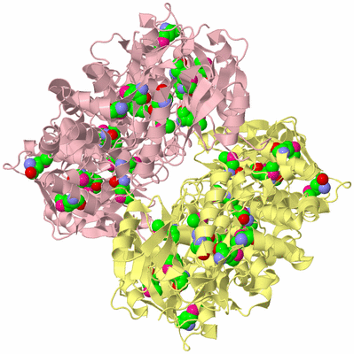 Image Biological Unit 2