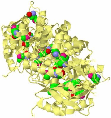 Image Biological Unit 3