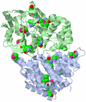 Image Biological Unit 4