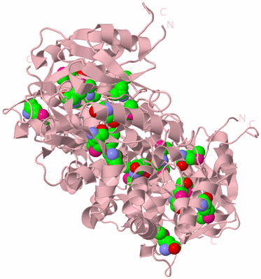 Image Biological Unit 5