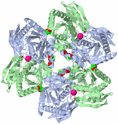 Image Biological Unit 1