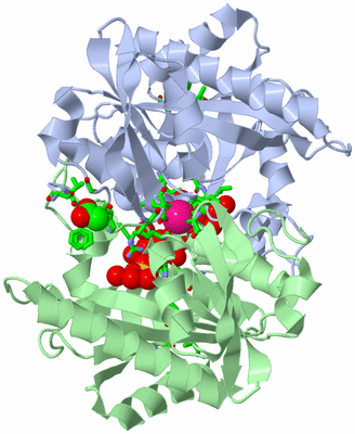 Image Asym. Unit - sites