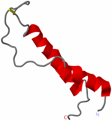 Image NMR Structure - model 1