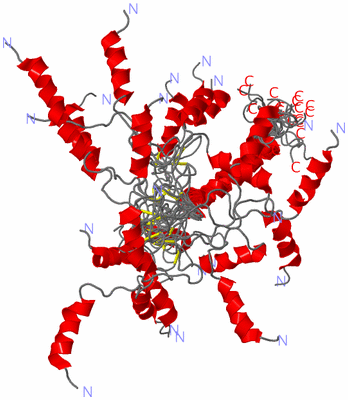 Image NMR Structure - all models