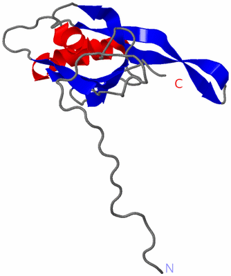 Image NMR Structure - model 1