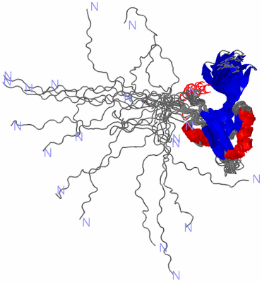 Image NMR Structure - all models