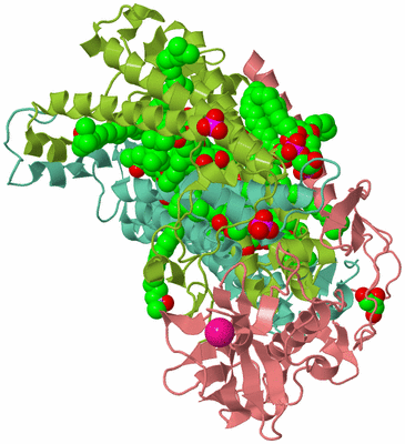 Image Asym./Biol. Unit