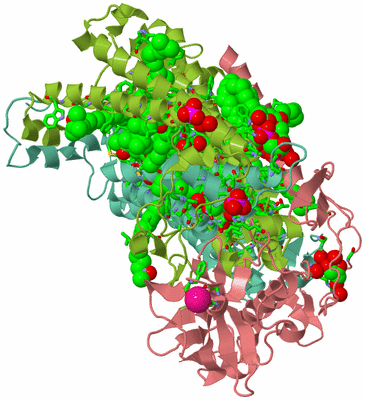 Image Asym./Biol. Unit - sites