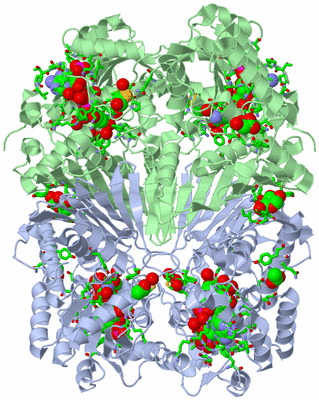 Image Biol. Unit 1 - sites