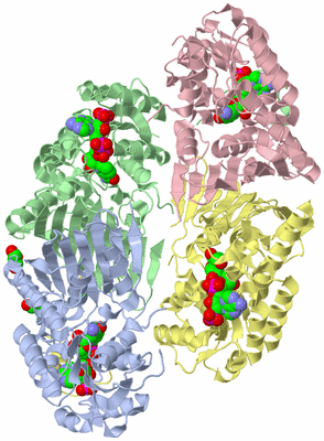 Image Asym./Biol. Unit