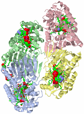 Image Asym./Biol. Unit - sites