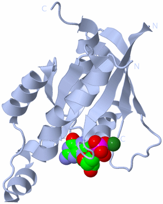 Image Biological Unit 1