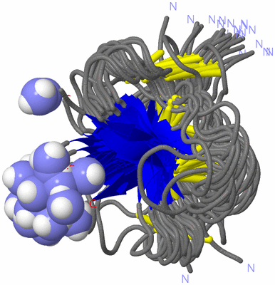 Image NMR Structure - all models