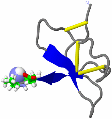 Image NMR Structure - model 1, sites