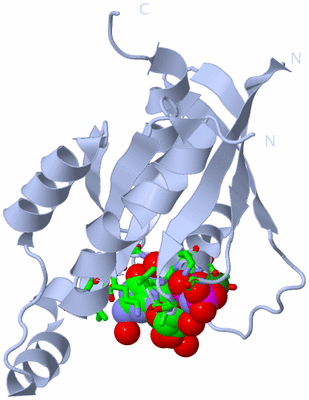 Image Biol. Unit 1 - sites