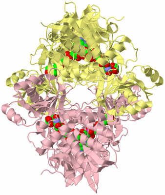 Image Biological Unit 2