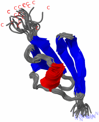 Image NMR Structure - all models