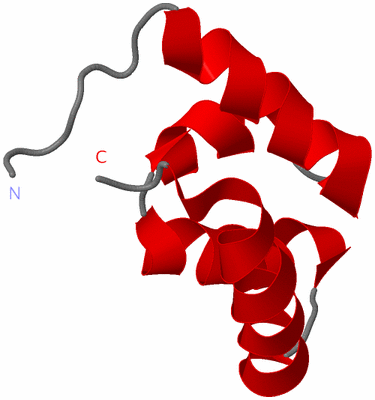 Image NMR Structure - model 1