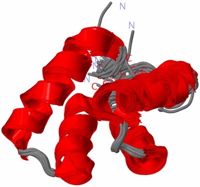 Image NMR Structure - all models