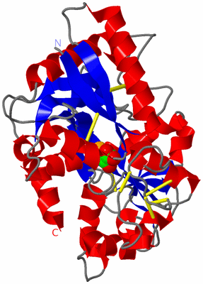 Image Asym./Biol. Unit