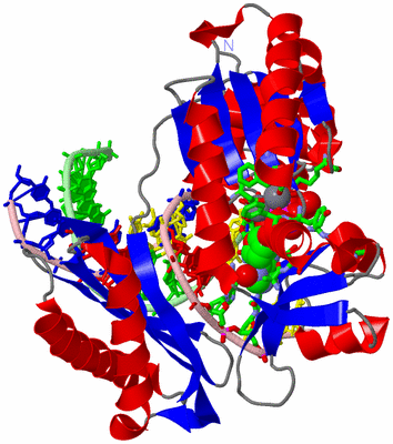 Image Asym./Biol. Unit - sites